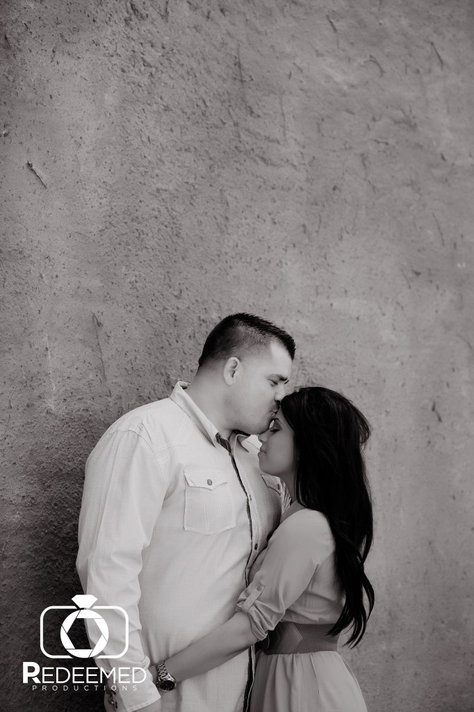 Wedding Engagement Photography 1